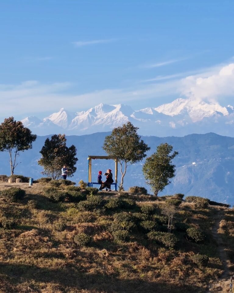 Sittong, Darjeeling: Distances, Sightseeing, Homestays and Weather (Complete Travel Guide)